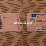 Fake Id Blonde Buy Scannable Fake Id Online