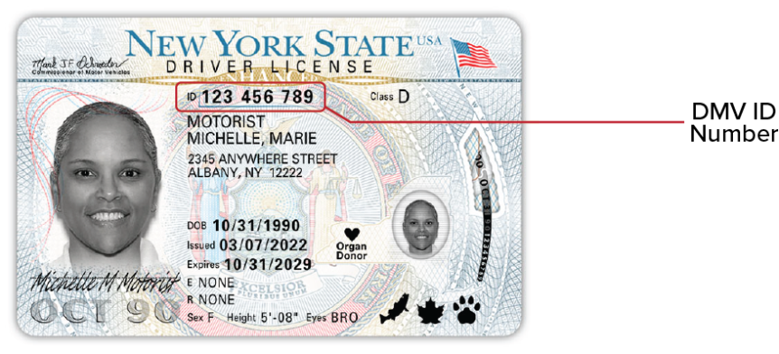 best fake id state