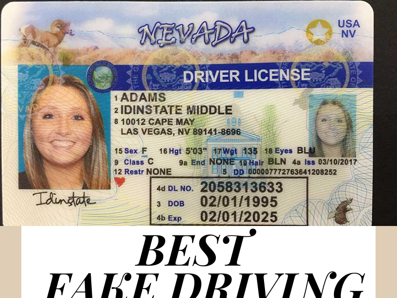 best fake id website