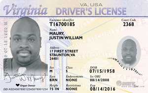 best nc fake id