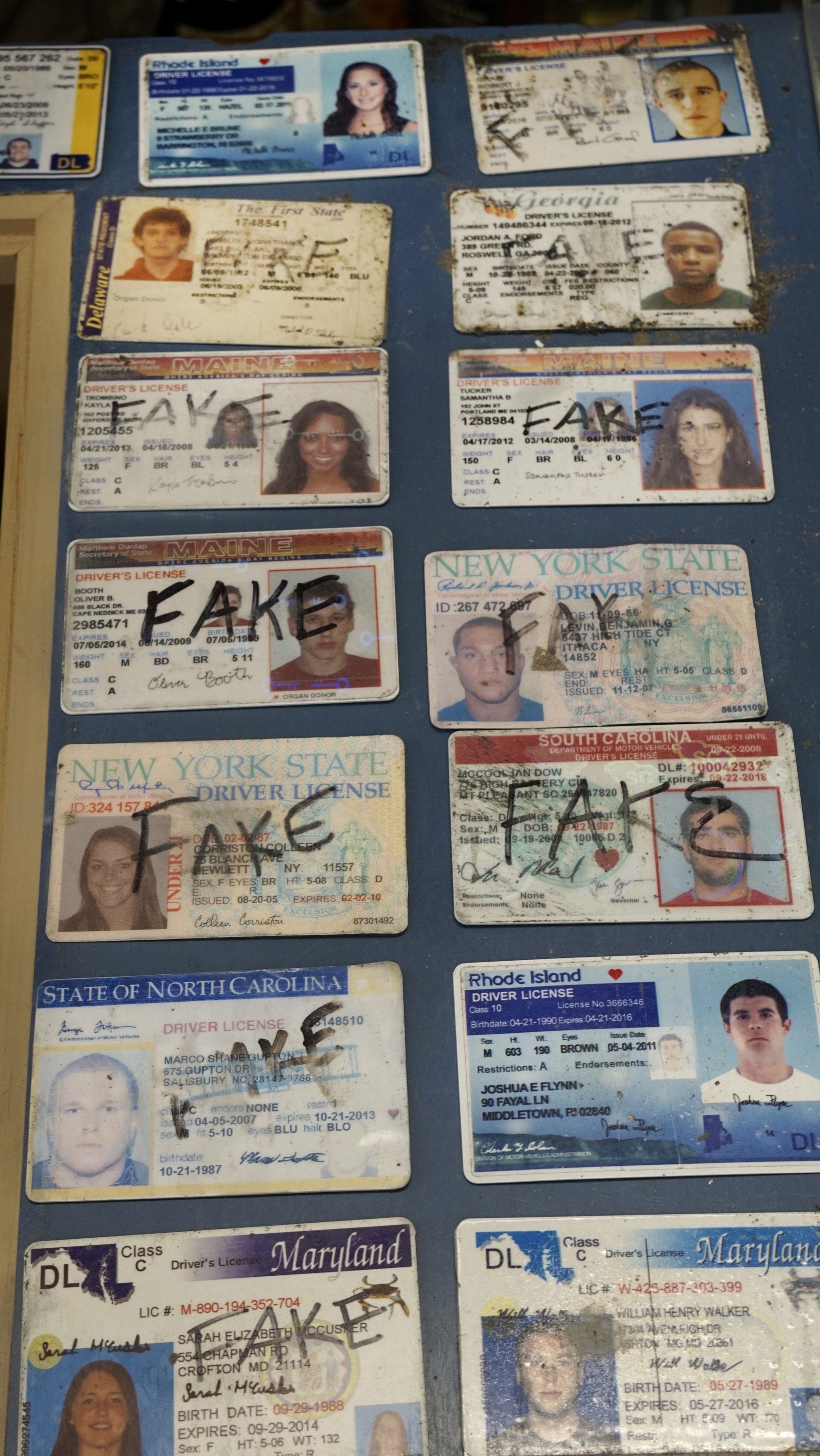 cheap fake id reddit