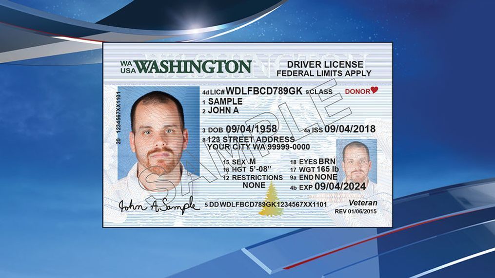 dc fake id