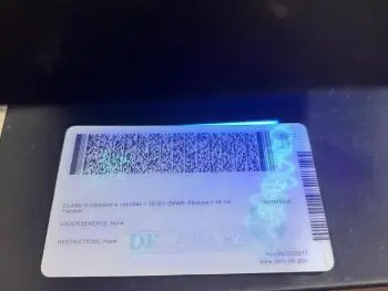 do fake ids scan