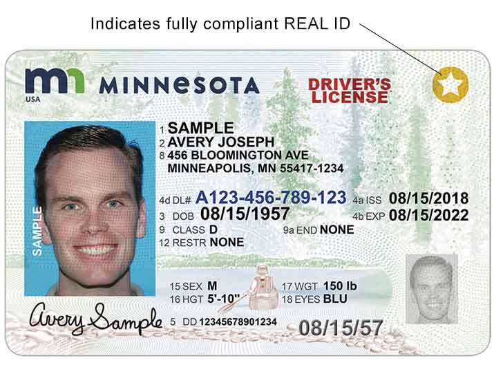 examples of fake ids