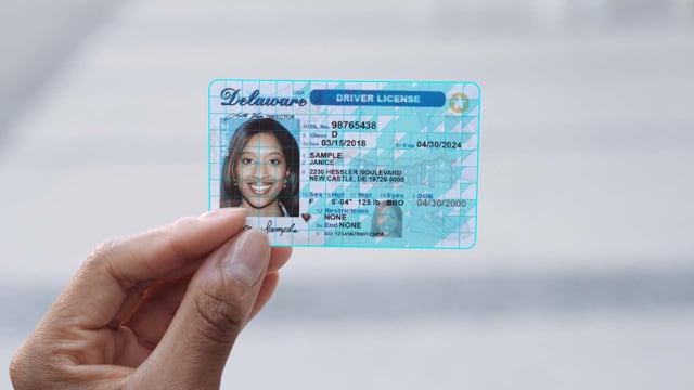 examples of fake ids