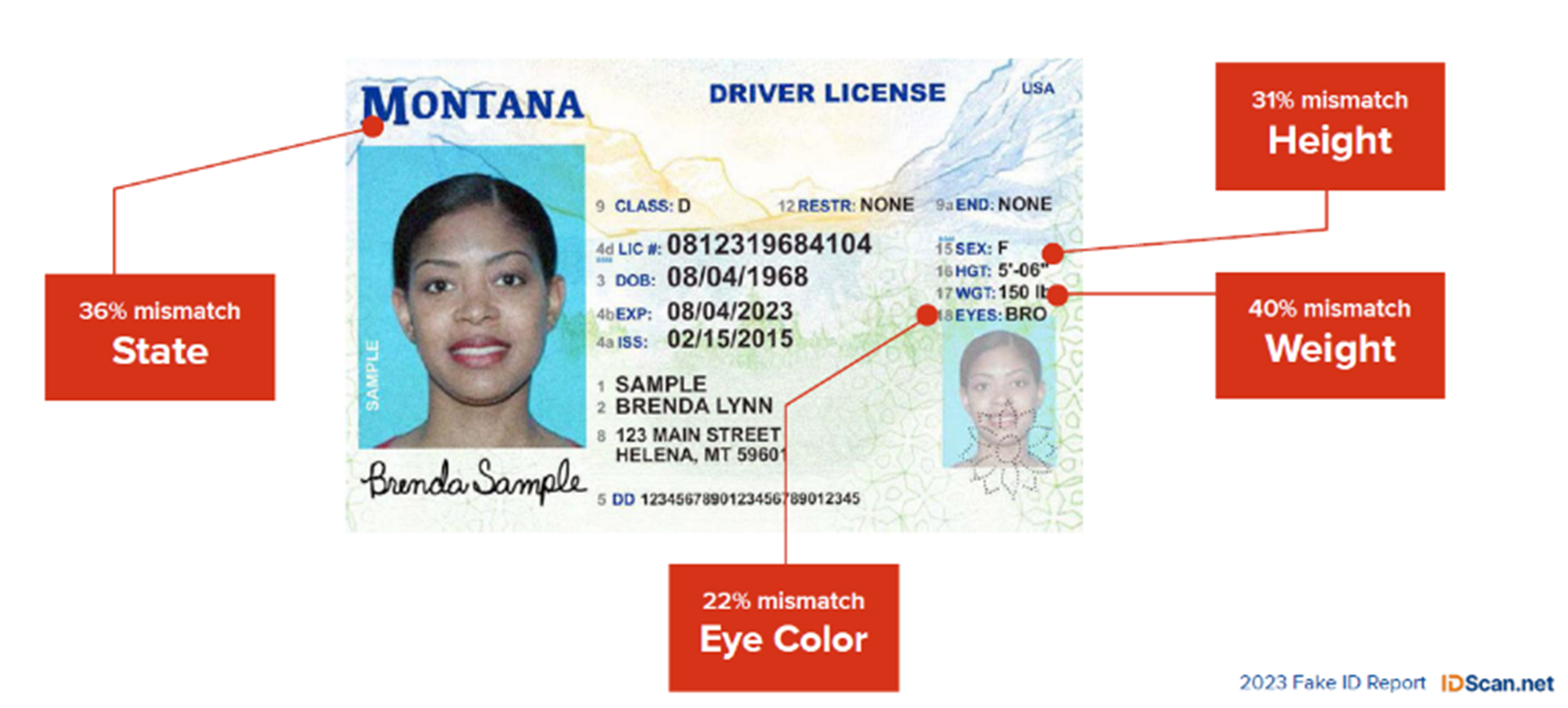 examples of fake ids