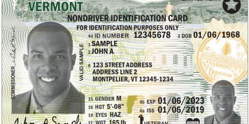 examples of fake ids