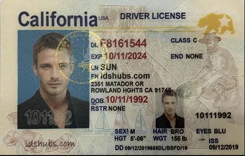 fake california id vs real