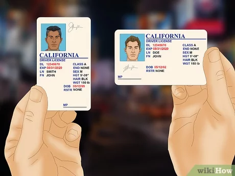 fake california id vs real