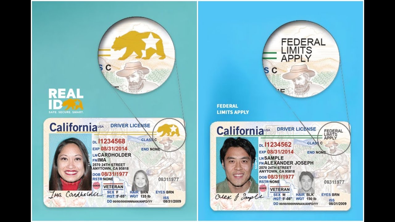 fake california id vs real