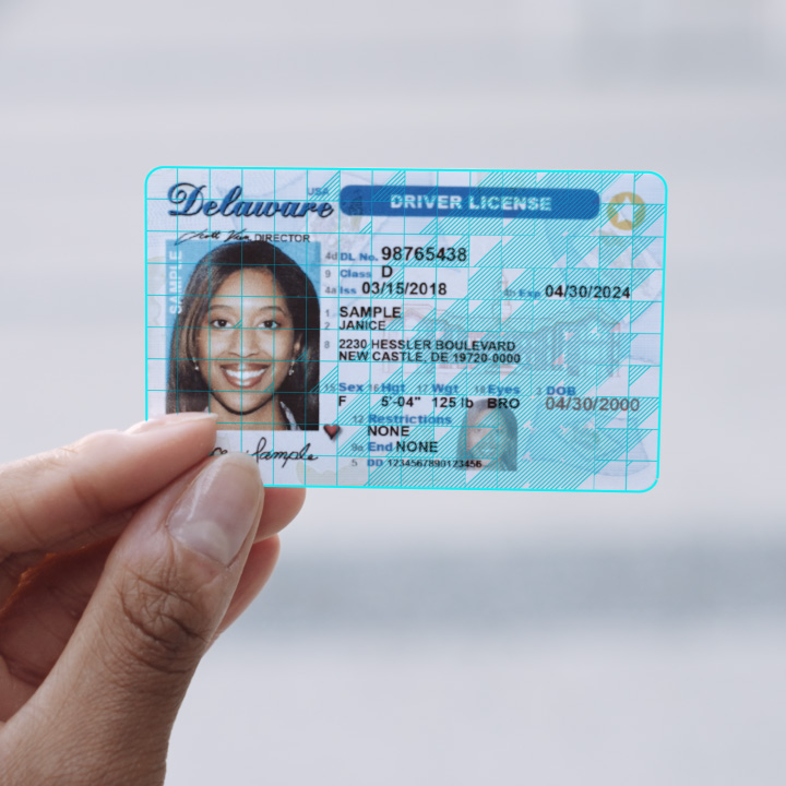 fake government id generator