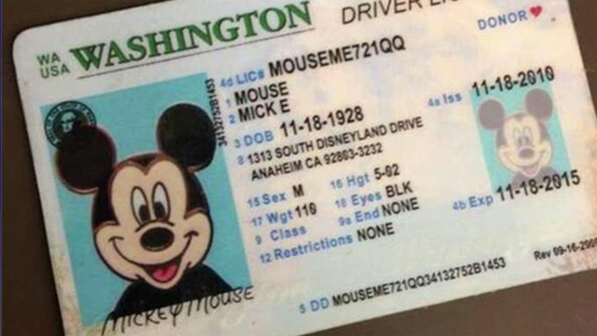 fake id disney world