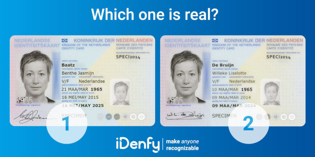 fake id documents