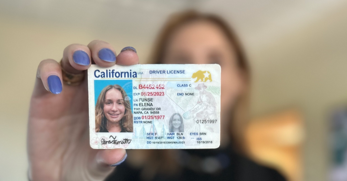 fake id drivers license