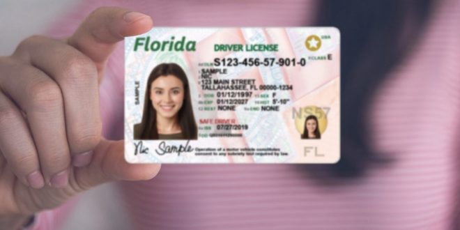 fake id florida statute