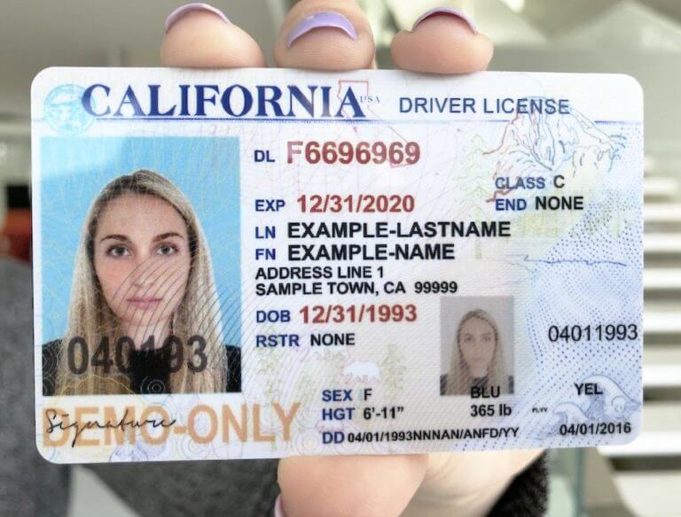 fake id identity theft