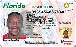 fake id order