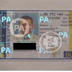 fake id pa