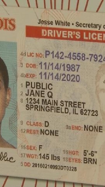 fake illinois id