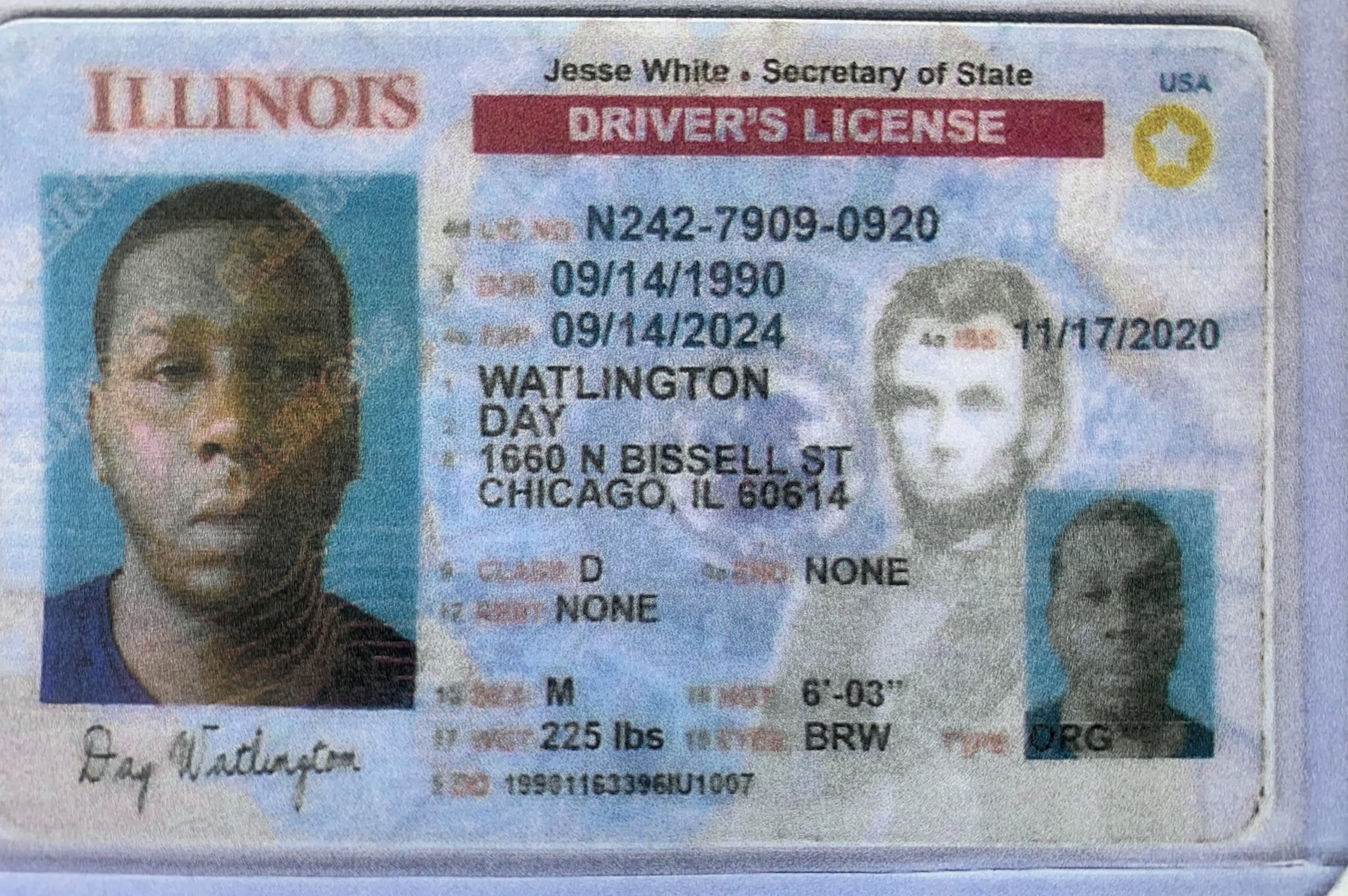 fake illinois id