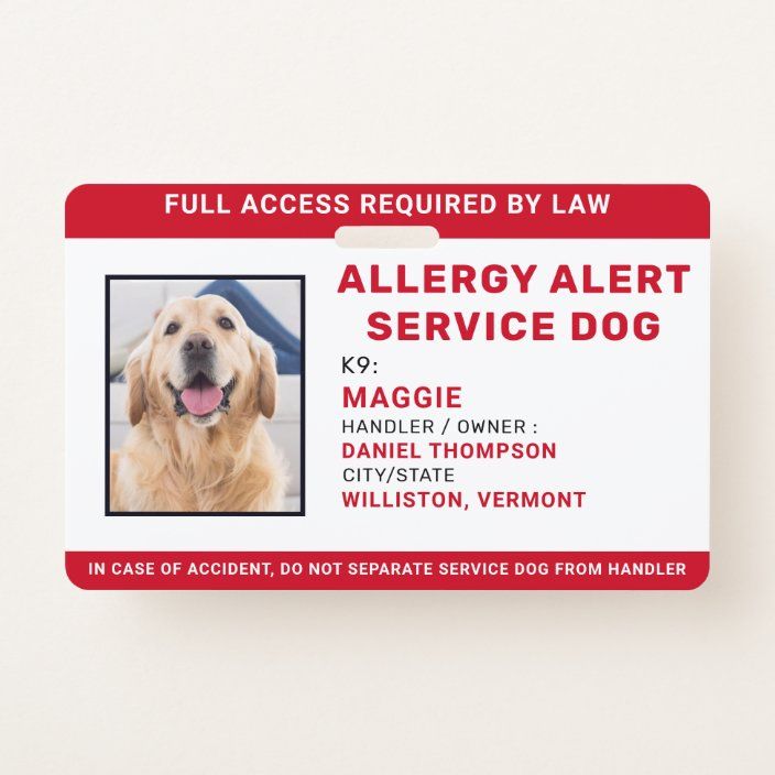 fake service dog id