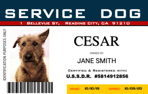 fake service dog id