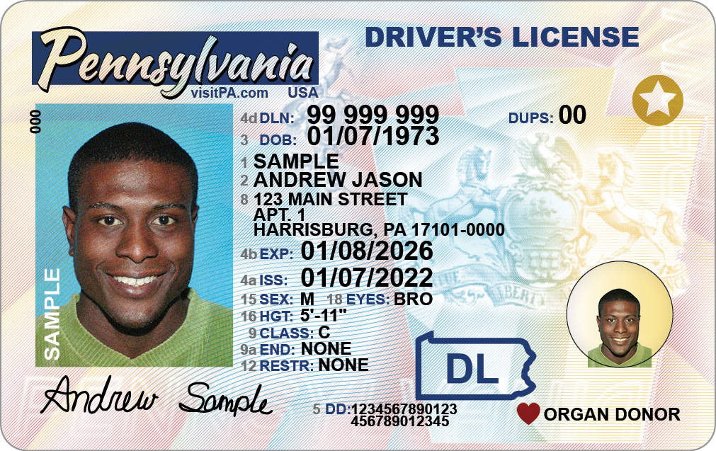 fake state id generator