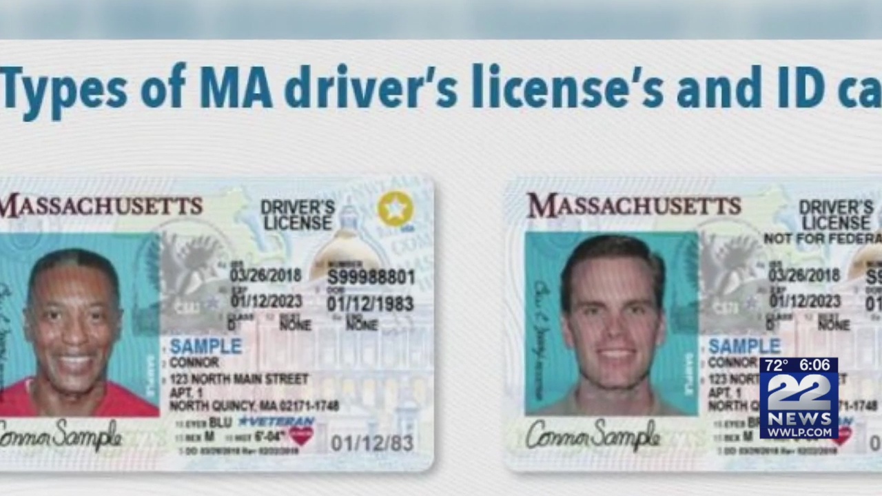 fake vs real id