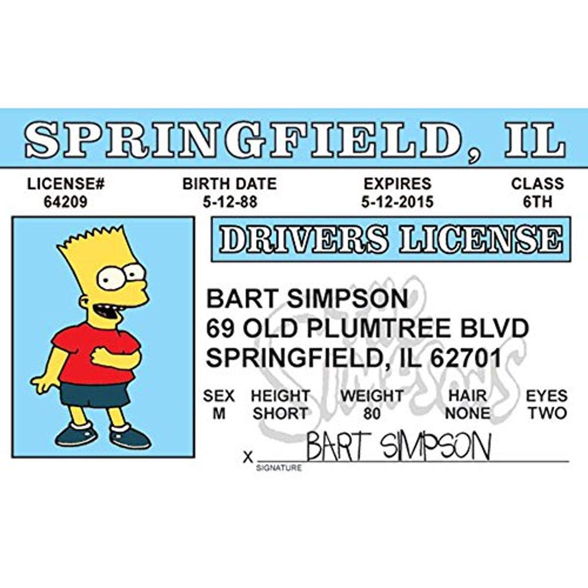 fun fake id