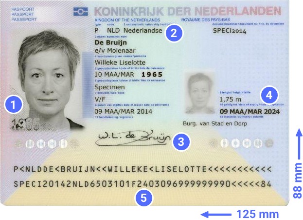 passport fake id