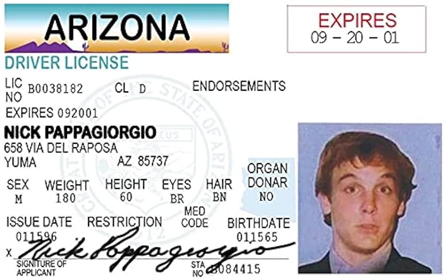 picture of fake id