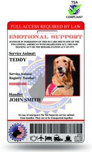 real service dog id card vs fake