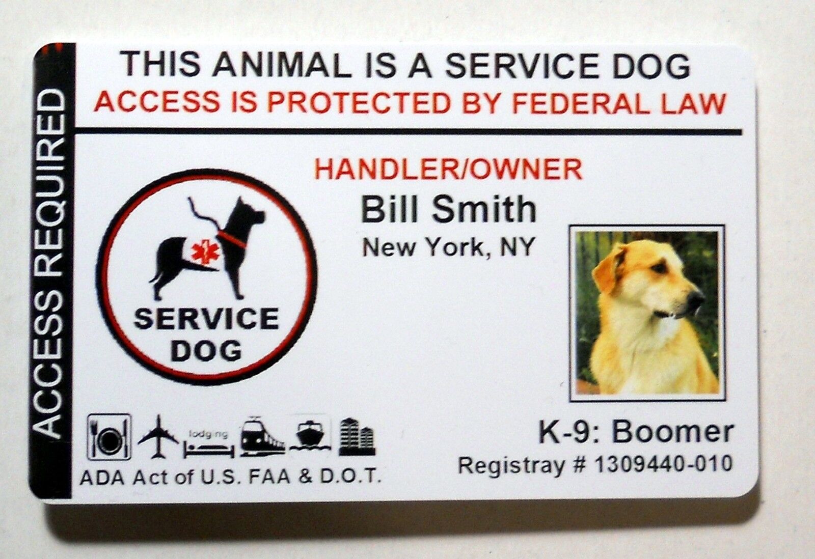 real service dog id card vs fake