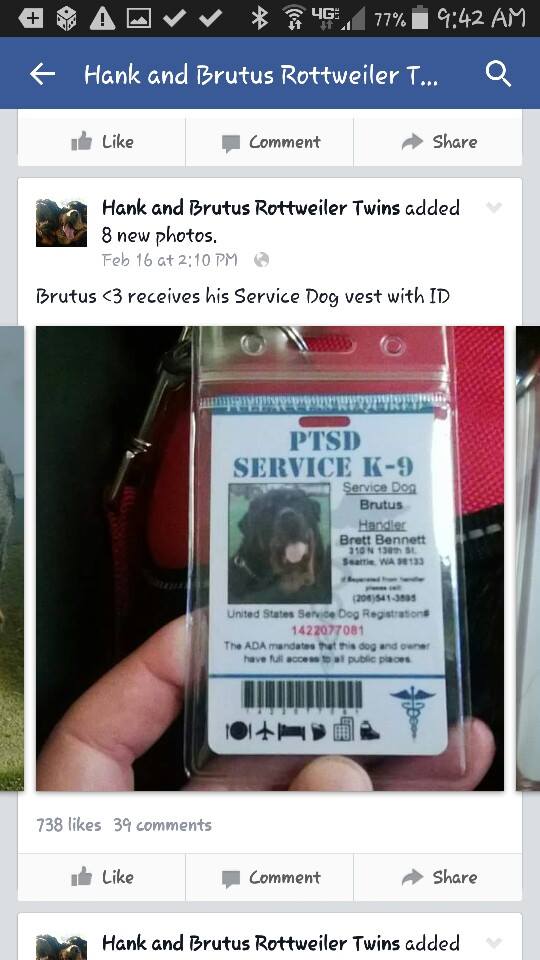 real service dog id card vs fake