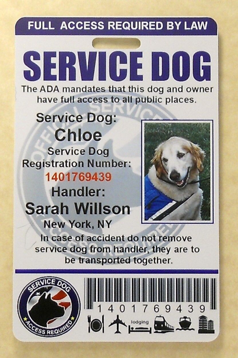 real service dog id card vs fake