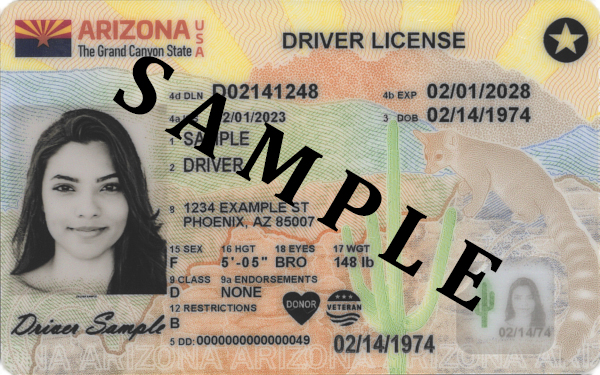 what is the best state for a fake id